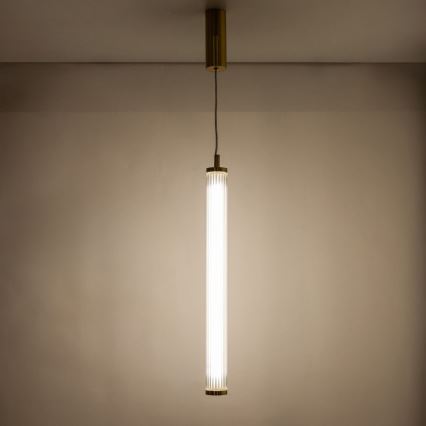 Zuma Line - Lustre LED dimmable suspendu sur câble LED/26W/230V 2700-6500K doré + télécommande