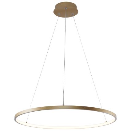 Zuma Line - Suspension filaire LED/28W/230V 3000/4000/6000K d. 60 cm doré