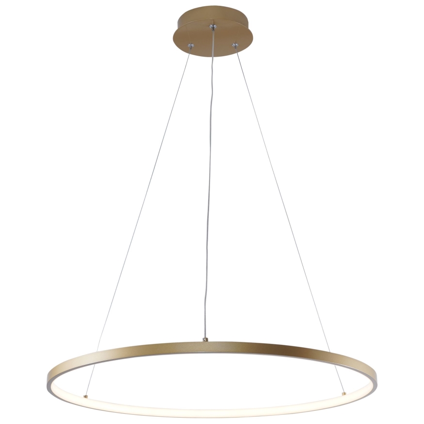 Zuma Line - Suspension filaire LED/28W/230V 3000/4000/6000K d. 60 cm doré