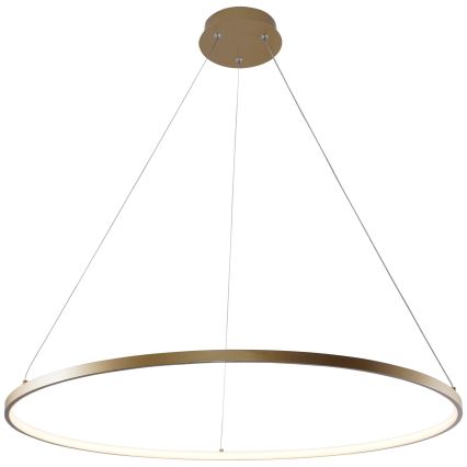 Zuma Line - Lampadario LED a sospensione con filo LED/36W/230V 3000/4000/6000K diametro 80 cm oro