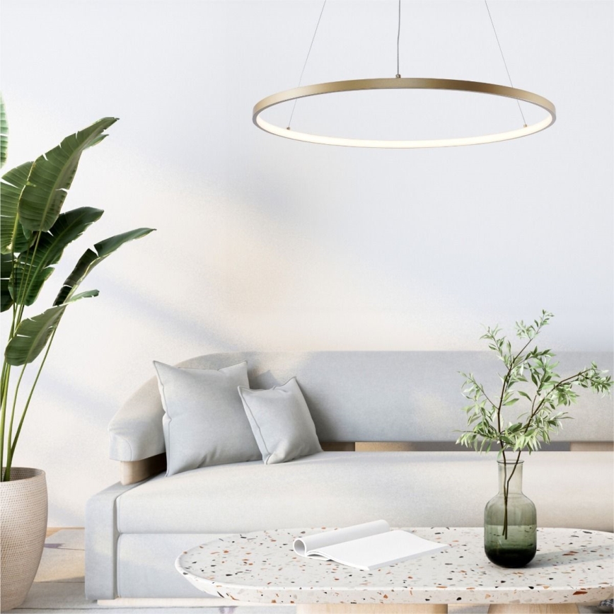 Zuma Line - Lampadario LED a sospensione con filo LED/36W/230V 3000/4000/6000K diametro 80 cm oro