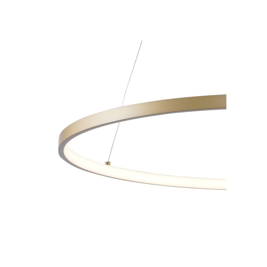 Zuma Line - Lampadario LED a sospensione con filo LED/36W/230V 3000/4000/6000K diametro 80 cm oro