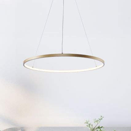 Zuma Line - LED-Hängeleuchte an Schnur LED/36W/230V 3000/4000/6000K d 80 cm golden