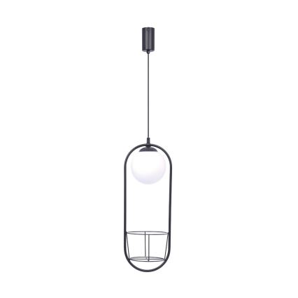 Zuma Line - Lampadario a sospensione con filo 1xE14/40W/230V nero