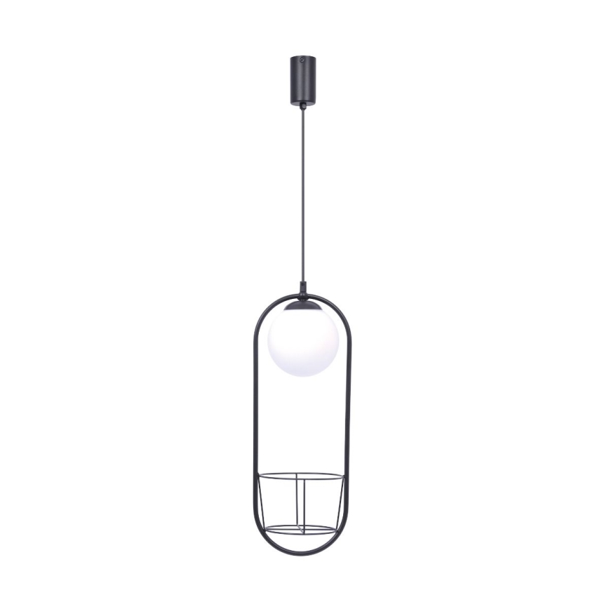 Zuma Line - Lampadario a sospensione con filo 1xE14/40W/230V nero