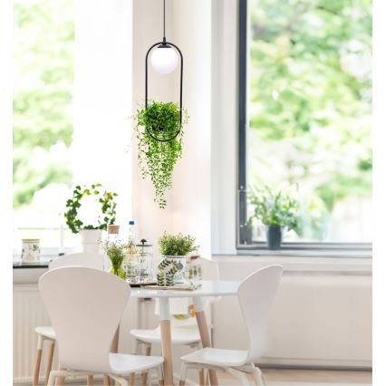Zuma Line - Lampadario a sospensione con filo 1xE14/40W/230V nero