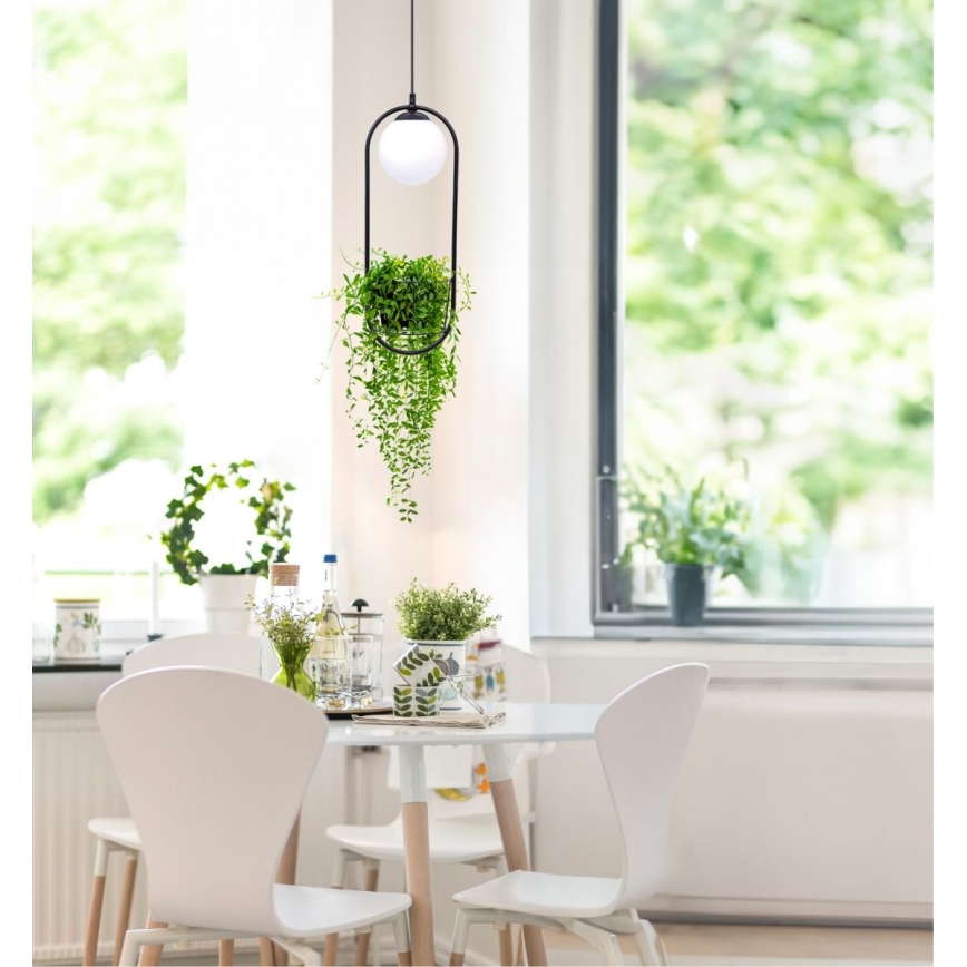 Zuma Line - Lampadario a sospensione con filo 1xE14/40W/230V nero