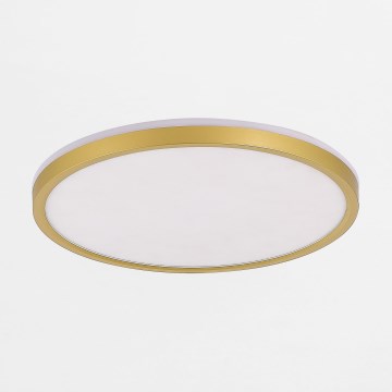 Zuma Line - Dimmbare LED-Deckenleuchte LED/38W/230V + LED/11W 3000/4000/5500K d 50 cm golden