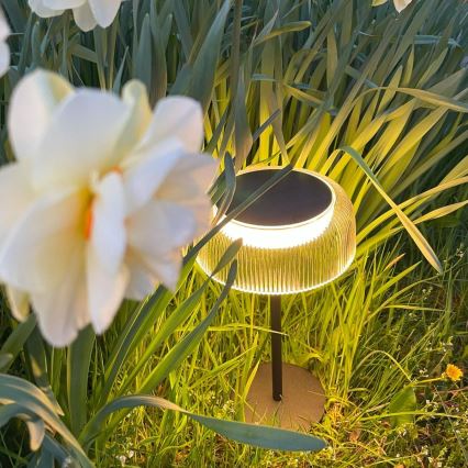 Zuma Line -LED Lampada solare ricaricabile dimmerabile BLUET LED/2,5W/2000 mAh IP44 nera