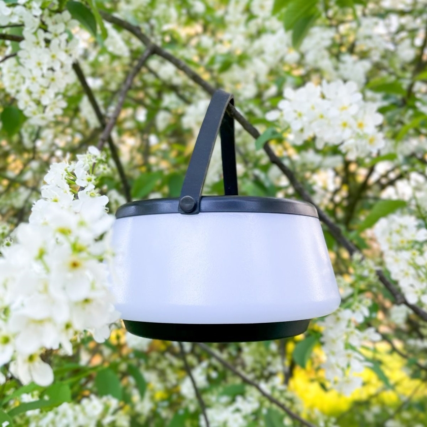 Zuma Line - Lampada solare dimmerabile a LED AURE LED/2,2W/2000mAh IP44 nero
