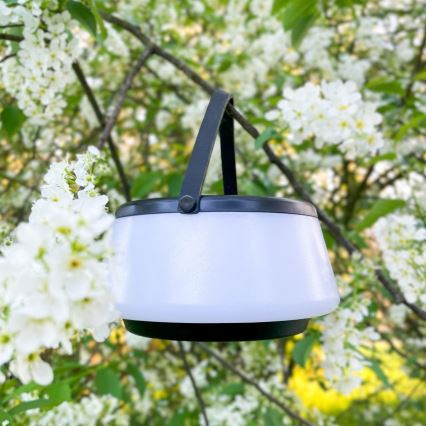 Zuma Line - Lampe de table solaire à intensité variable rechargeable LED/2,2W/2000 mAh IP44 noir