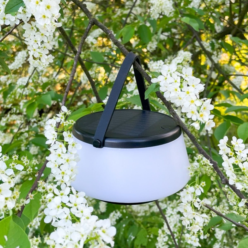 Zuma Line - Lampe de table solaire à intensité variable rechargeable LED/2,2W/2000 mAh IP44 noir