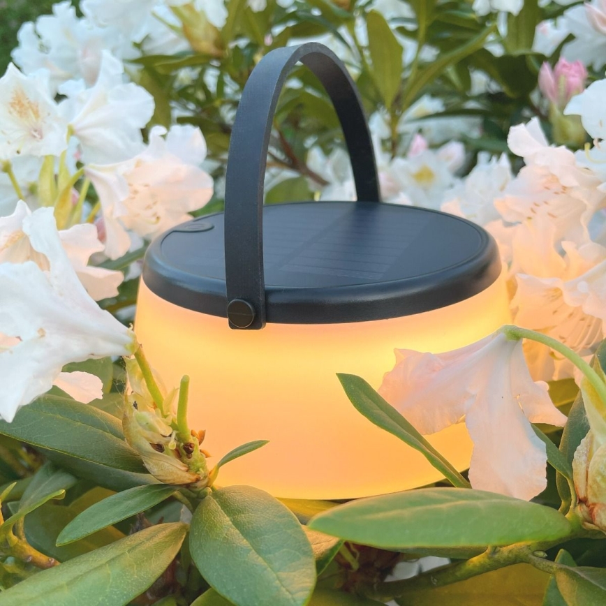 Zuma Line - Lampe de table solaire à intensité variable rechargeable LED/2,2W/2000 mAh IP44 noir
