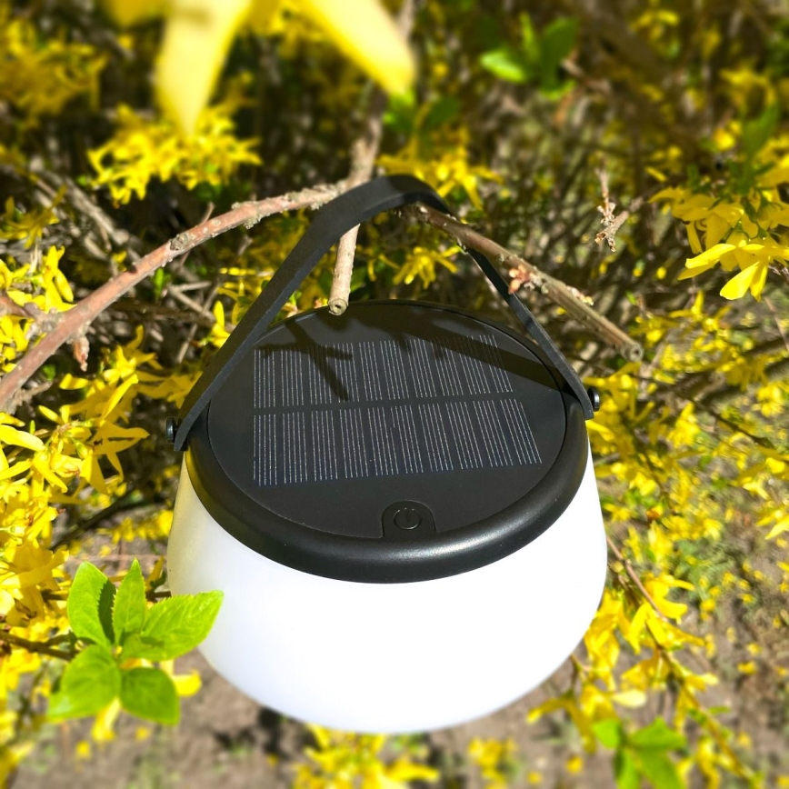 Zuma Line - Lampe de table solaire à intensité variable rechargeable LED/2,2W/2000 mAh IP44 noir
