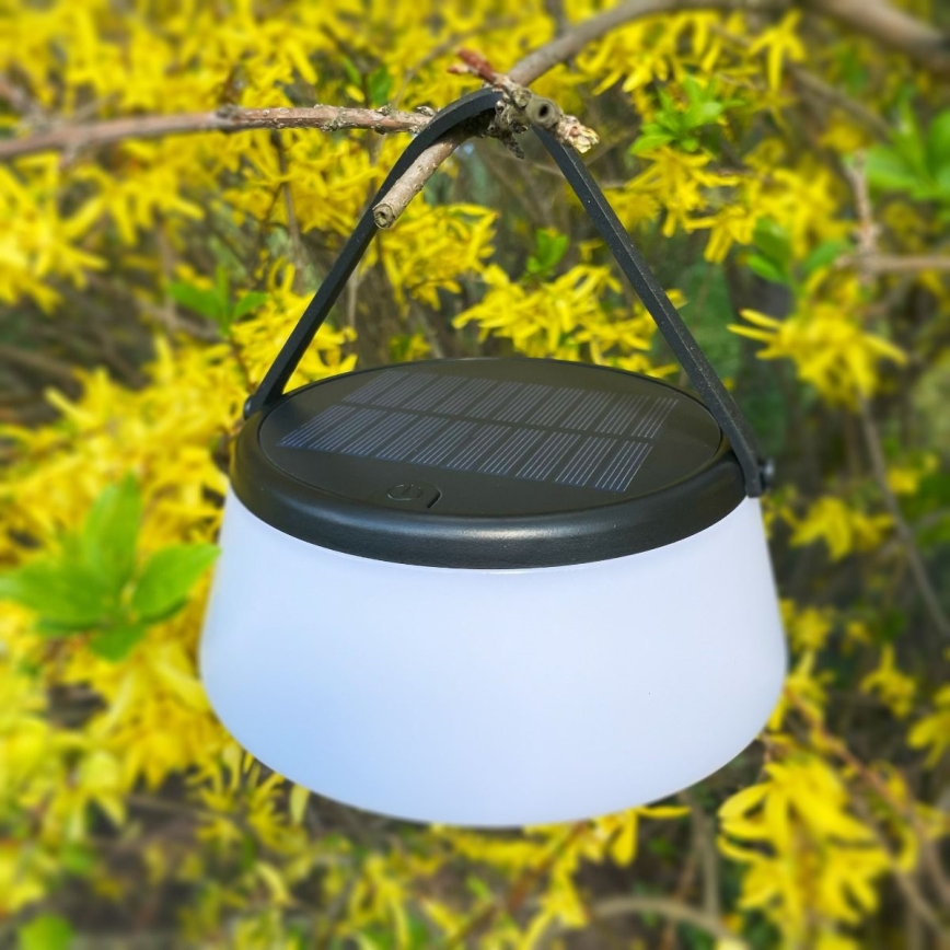 Zuma Line - Lampe de table solaire à intensité variable rechargeable LED/2,2W/2000 mAh IP44 noir