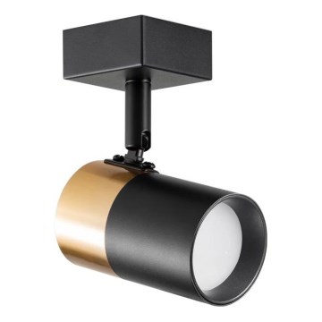 Zuma Line - Faretto da parete 1xGU10/50W/230V nero/oro
