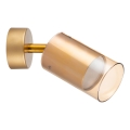 Zuma Line - Faretto da parete 1xGU10/50W/230V oro