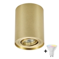 Zuma Line - Faretto LED RGBW dimmerabile 1xGU10/4,8W/230V oro + telecomando