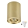 Zuma Line - Faretto LED RGBW dimmerabile 1xGU10/4,8W/230V oro + telecomando
