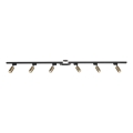 Zuma Line - Faretto per sistema a binario 6xGU10/35W/230V nero/oro