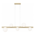 Zuma Line - Lampadario a sospensione con cavo 5xG9/33W/230V dorato