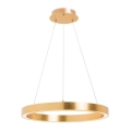 Zuma Line - Lampadario a sospensione con cavo LED/40W/230V Ø 50 cm dorato