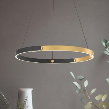 Zuma Line - Lampadario a sospensione con filo LED dimmerabile LED/30W/230V nero/oro