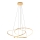 Zuma Line - Lampadario dimmerabile a LED su cavo LED/56W/230V oro