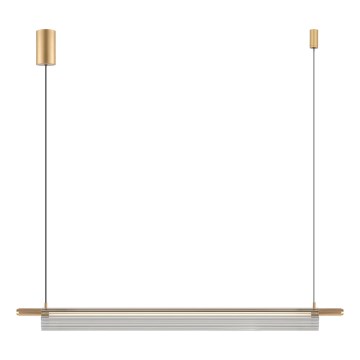 Zuma Line - Lampadario LED a sospensione con cavo LED/14W/230V dorato