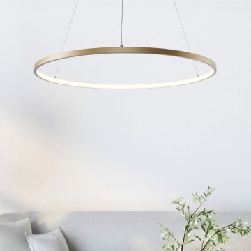 Zuma Line - Lampadario LED a sospensione con filo LED/36W/230V 3000/4000/6000K diametro 80 cm oro