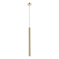 Zuma Line - Lampadario LED a sospensione con filo LED/5W/230V oro