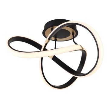 Zuma Line - LED dimmbare Deckenleuchte LED/44W/230V schwarz/gold