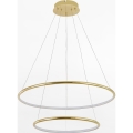 Zuma Line - LED-Kronleuchter an Aufhängung LED/40W/230V golden