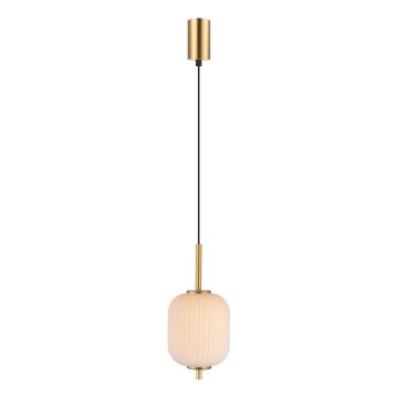 Zuma Line - LED-Pendelleuchte an Kabel LED/6,5W/230V Ø 13 cm goldfarben