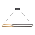 Zuma Line - LED-Pendelleuchte mit Kabelaufhängung 2xLED/40W/230V schwarz/gold