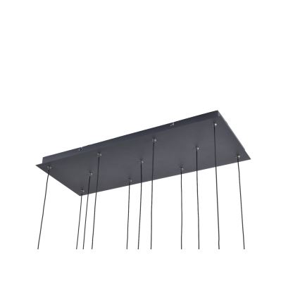 Zuma Line - LED Pendelleuchte an Stahlseil 11xLED/3W/230V schwarz