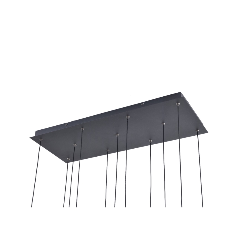 Zuma Line - LED Pendelleuchte an Stahlseil 11xLED/3W/230V schwarz