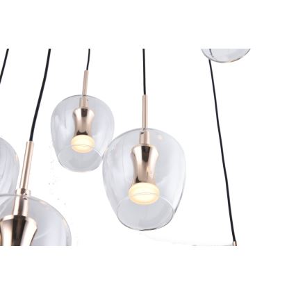 Zuma Line - Suspension LED sur câble 11xLED/3W/230V noire
