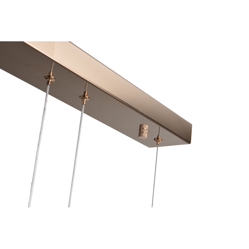 Zuma Line - Lampada a sospensione con cavo LED/36W/230V oro rosa