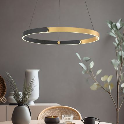 Zuma Line - Suspension filaire à intensité variable LED/30W/230V noir/doré