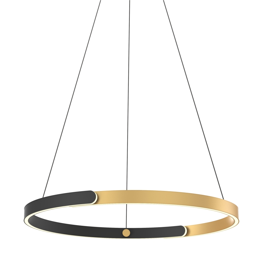 Zuma Line - Suspension filaire à intensité variable LED/30W/230V noir/doré