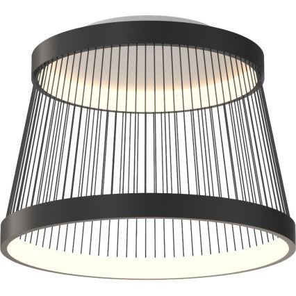 Zuma Line - Dimmbare LED-Deckenleuchte LED/32W/230V 2700-6000K schwarz + Fernbedienung