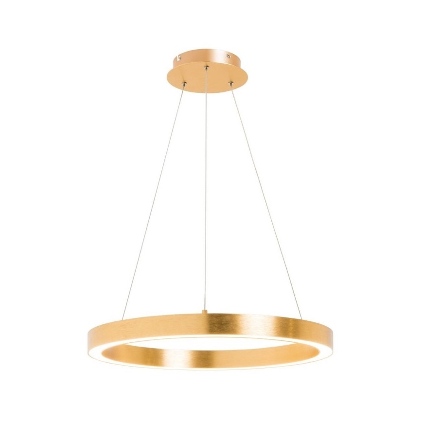 Zuma Line - Lampadario LED su filo 1xLED/40W/230V 50 cm dorato