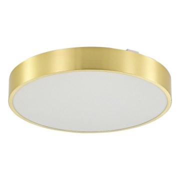 Zuma Line - Plafoniera LED dimmerabile da bagno LED/50W/230V 3000-6000K diametro 50 cm IP44 oro + telecomando