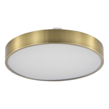 Zuma Line - Plafoniera LED dimmerabile da bagno LED/50W/230V 3000-6000K diametro 50 cm IP44 ottone + telecomando