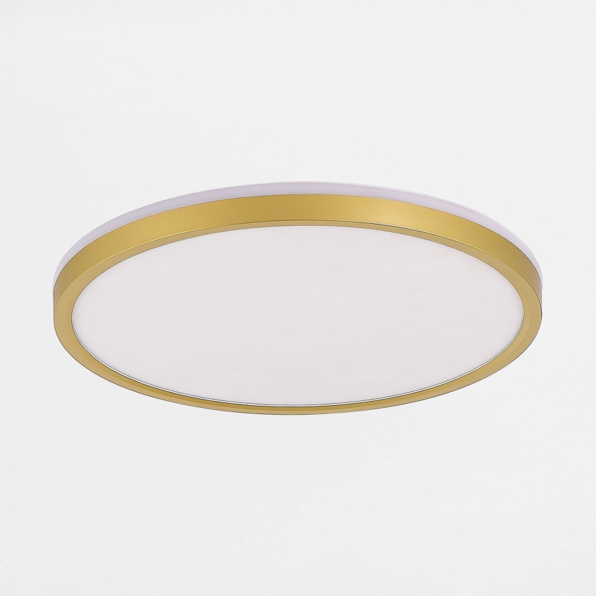 Zuma Line - Plafoniera LED dimmerabile LED/26,5W/230V + LED/6,5W 3000/4000/5500K diametro 32 cm oro
