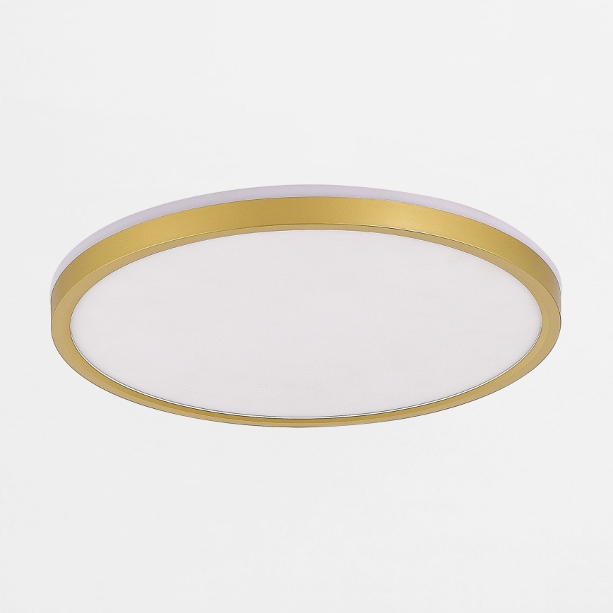 Zuma Line - Plafoniera LED dimmerabile LED/38W/230V + LED/11W 3000/4000/5500K diametro 50 cm oro