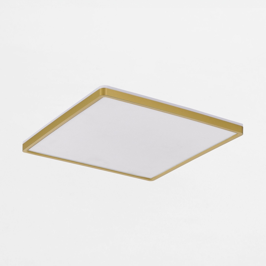 Zuma Line - Plafoniera LED dimmerabile LED/38W/230V + LED/12W 3000/4000/5500K 40x40 cm oro