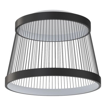 Zuma Line - Plafonnier à intensité variable LED/32W/230V 2700-6000K noir + télécommande