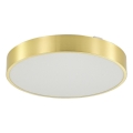 Zuma Line - Plafonnier à intensité variable salle de bain LED/36W/230V 3000-6000K d. 40 cm IP44 doré + Télécommande